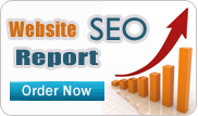 SEO Report